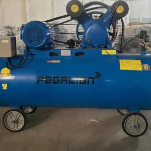 Máy nén khí 230l 5.5hp Pegalion TM-V-0.6/8-230L 5 Máy nén khí 230l 5.5hp Pegalion TM-V-0.6/8-230L