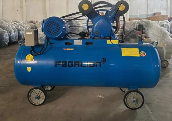 Máy nén khí 230l 5.5hp Pegalion TM-V-0.6/8-230L 8 Máy nén khí 230l 5.5hp Pegalion TM-V-0.6/8-230L