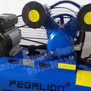 Máy nén khí 3hp Pegalion TM-V-0.25/8-120L (220V) 14 Máy nén khí Pegalion 70l 3hp TM-V-0.25/8-70L