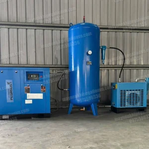 Hệ thống máy nén khí 37kw (50hp) Pegalion 20 Hệ thống máy nén khí trục vít