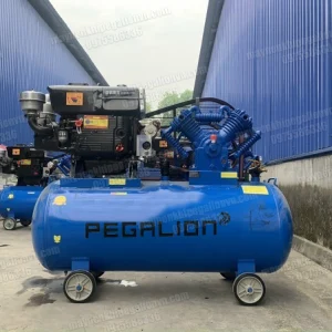 Máy nén khí chạy dầu diesel 10hp Pegalion TM-W-1.05/12.5-330L 8 Máy nén khí chạy dầu diesel 10hp áp 12.5 bar