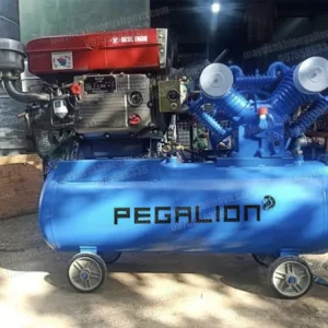 Máy nén khí chạy dầu diesel 10hp Pegalion TM-W-1.05/12.5-330L 9 Máy nén khí chạy dầu diesel 10hp áp 12.5 bar