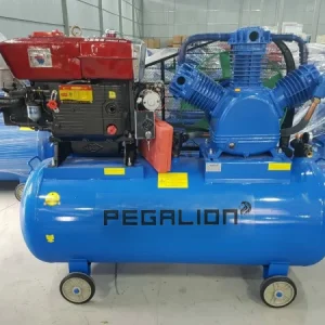 Máy nén khí chạy dầu diesel 7.5hp Pegalion TM-W-0.67/12.5-330L 9 Máy nén khí chạy dầu Diesel 12.5 bar