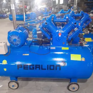Máy nén khí 10hp 500l Pegalion TM-W-1.05/12.5-500L 7 Máy nén khí 10hp Pegalion