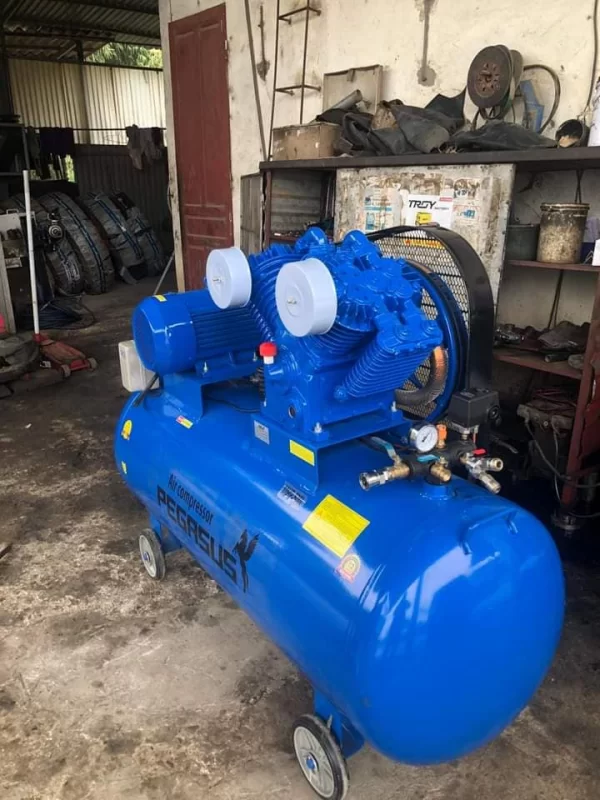Máy nén khí 10hp 330l Pegalion TM-W-1.05/12.5-330L 3 Máy nén khí 10hp Pegalion