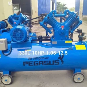 Máy nén khí 10hp 330l Pegalion TM-W-1.05/12.5-330L 11 Máy nén khí 10hp Pegalion