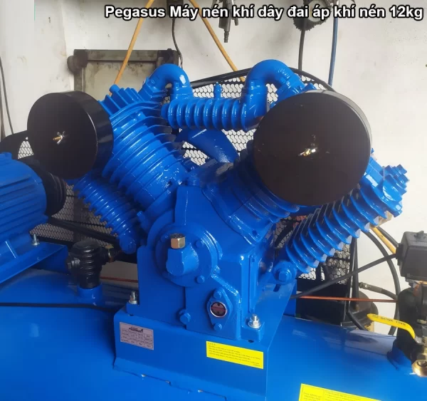 Máy nén khí 10hp 330l Pegalion TM-W-1.05/12.5-330L 2 Máy nén khí 10hp Pegalion