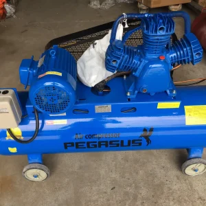 Máy nén khí 4hp Pegalion TM-W-0.36/8-120L (380V) 6 Máy nén khí 120l 4hp 380v Pegalion