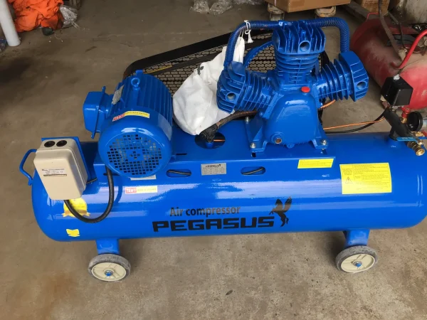 Máy nén khí 4hp Pegalion TM-W-0.36/8-120L (380V) 8 Máy nén khí 4hp Pegalion TM-W-0.36/8-120L