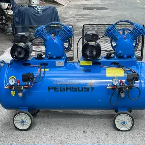 Máy nén khí 2 đầu Pegalion 6hp TM-V-0.25/12.5×2-230L 7 Máy nén khí 2 đầu