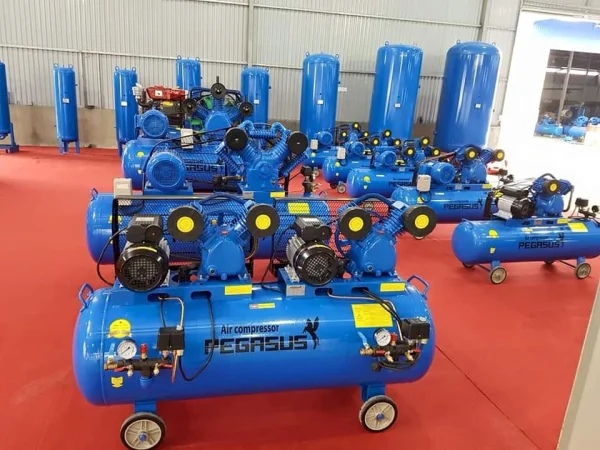 Máy nén khí 2 đầu Pegalion 6hp TM-V-0.25/12.5×2-230L 10 Máy nén khí 2 đầu