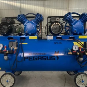 Máy nén khí 2 đầu Pegalion 6hp TM-V-0.25/12.5×2-230L 6 Máy nén khí 2 đầu