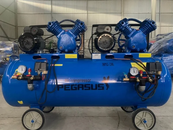 Máy nén khí 2 đầu Pegalion 6hp TM-V-0.25/12.5×2-230L 9 Máy nén khí 2 đầu