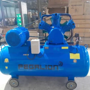 Máy nén khí 10hp 500l Pegalion TM-W-1.0/8-500L 9 máy nén khí Pegalion