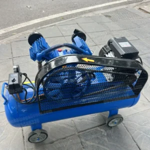 Máy nén khí 180l 2hp Pegalion TM-V-0.17/8-180L (220V) 9 Máy nén khí Pegalion