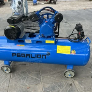 Máy nén khí 3hp Pegalion TM-V-0.25/8-120L (220V) 18 Máy nén khí Pegalion