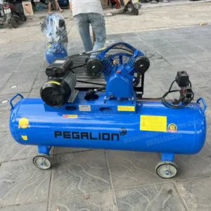 Máy nén khí 3hp Pegalion TM-V-0.25/8-120L (220V) 17 Máy nén khí Pegalion