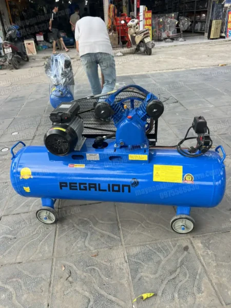 Máy nén khí 3hp Pegalion TM-V-0.25/8-120L (220V) 22 Máy nén khí 3hp Pegalion TM-V-0.25/8-120L (220V)