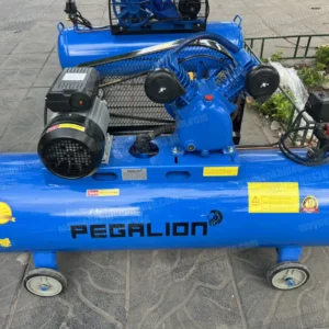Máy nén khí 180l 2hp Pegalion TM-V-0.17/8-180L (220V) 11 Máy nén khí Pegalion