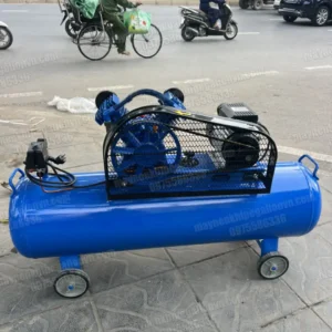 Máy nén khí 3hp Pegalion TM-V-0.25/8-120L (220V) 21 Máy nén khí Pegalion