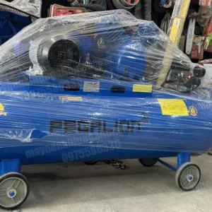 Máy nén khí 180l 2hp Pegalion TM-V-0.17/8-180L (220V) 10 Máy nén khí Pegalion